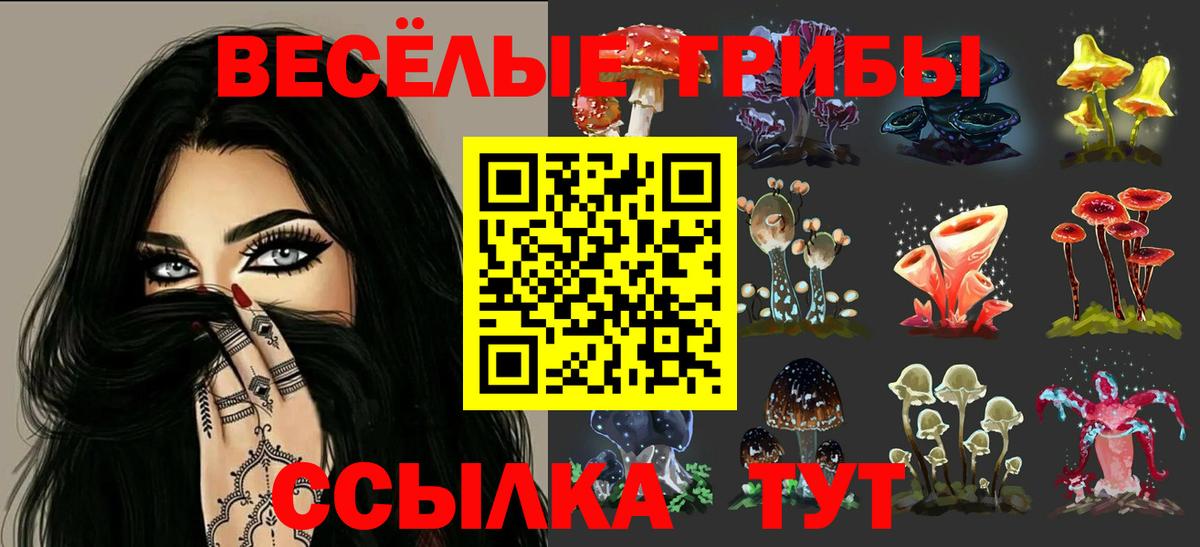 Псилоцибиновые грибы Magic Shrooms  Вход с VPN  Ангарск  Галлюциногенные грибы Psilocybe 