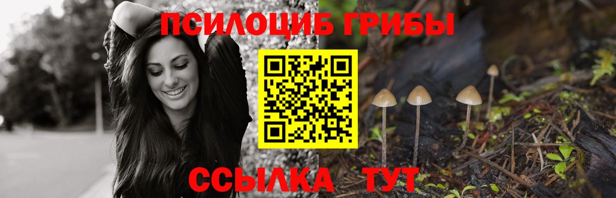 Галлюциногенные грибы GOLDEN TEACHER Ангарск